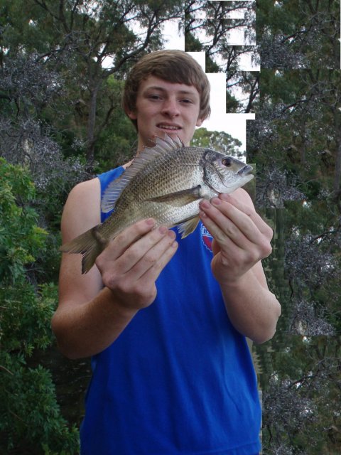 32cm Breamski 32cm Breamski